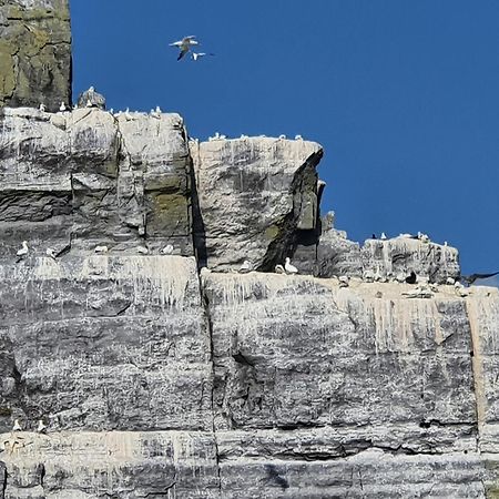 Shallow Sea-Point Knights Town Exterior foto